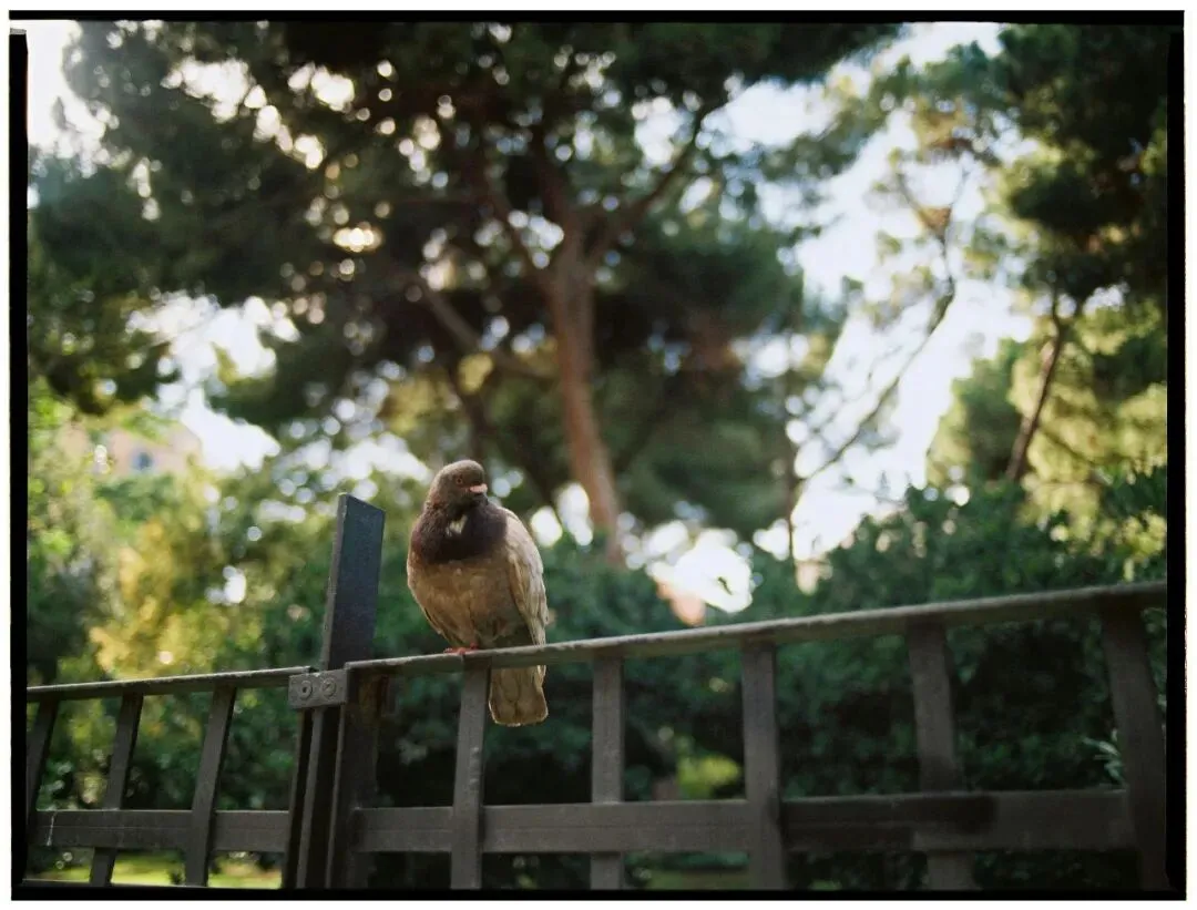 【夜读】如果这份试卷注定不合格,不如提前交卷 第1张