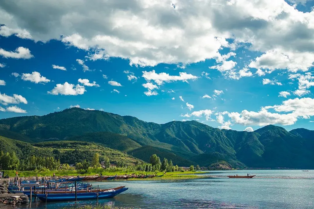 天津老师试卷事件刷屏:读懂《论语》礼、责、位,才懂当下教育该谁站直 第1张