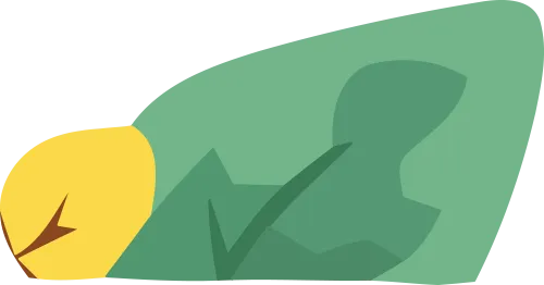 2025.12.07--LSWGY活动试卷解析 第5张