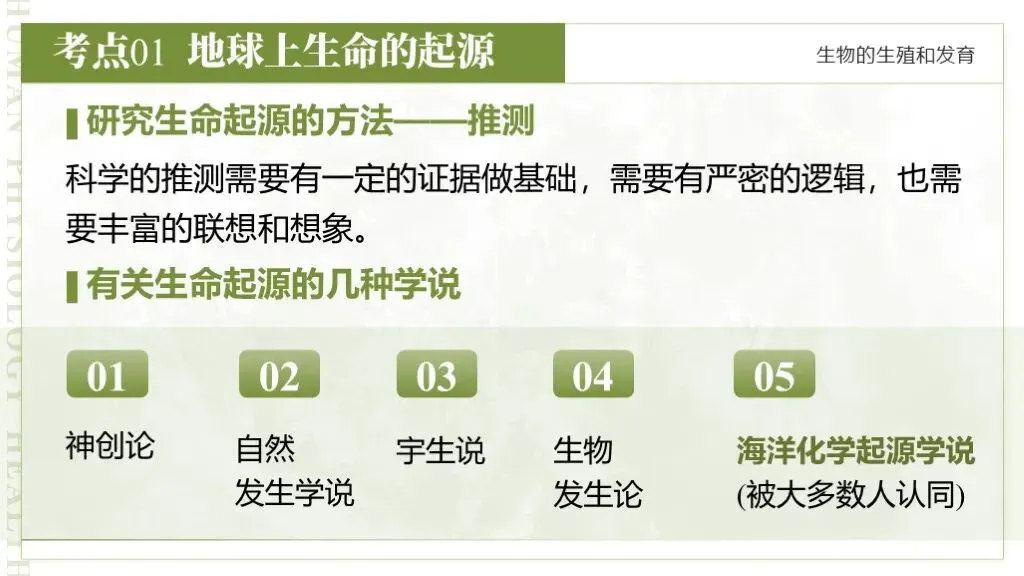 【26全新】生物中考专题复习 | 专题6-3《遗传与进化——生命的起源和进化》,附赠配套专题训练+解析! 第13张