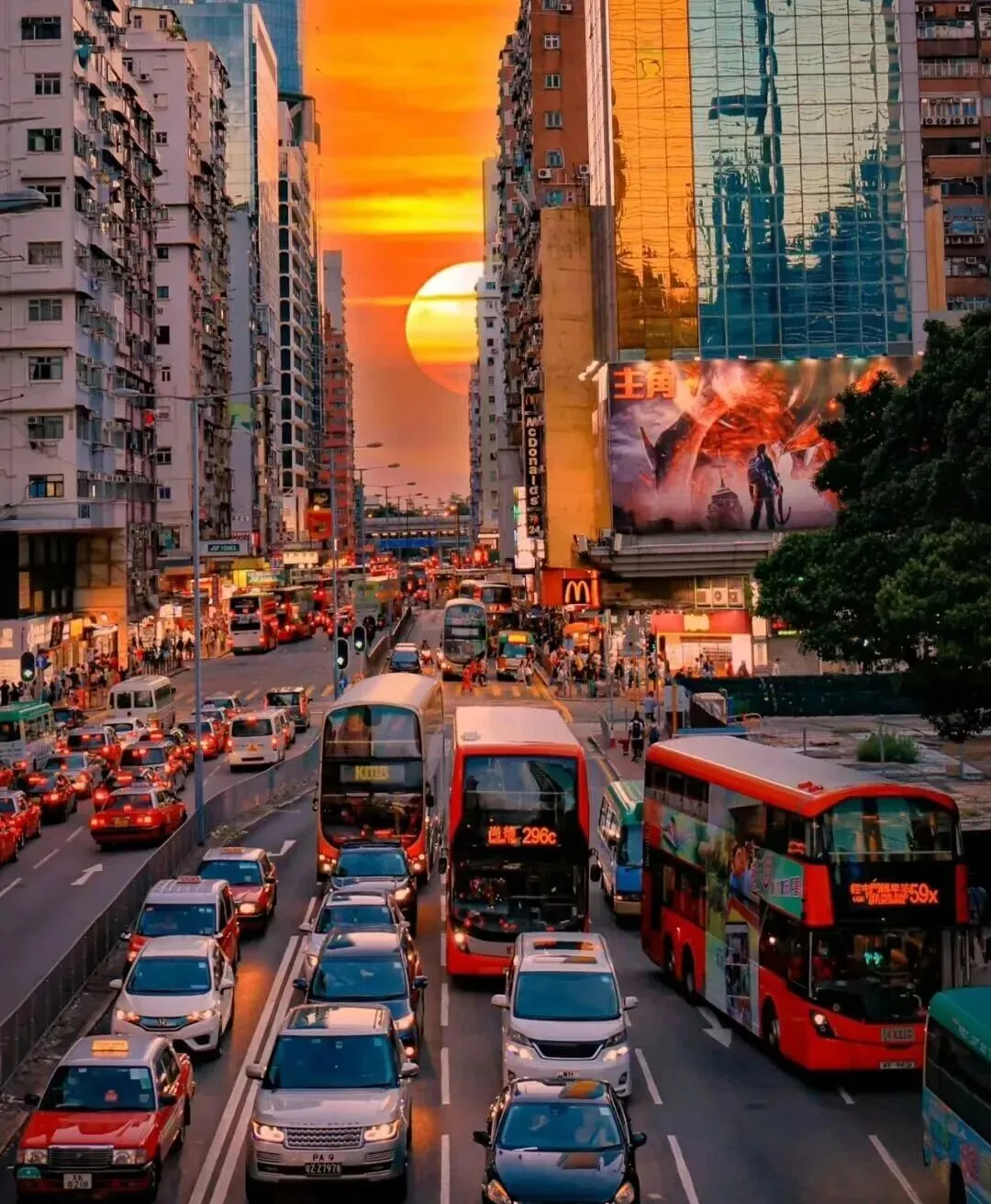 中考减负是骗局?多地中考重大改革!生物地理退出计分,真正的教育内卷,从来没有消失,孩子的升学底牌从来都是规划. 第3张