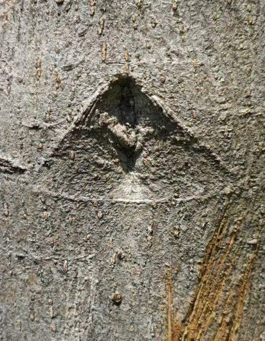 数学:赢在二检,笑在中考 第1张