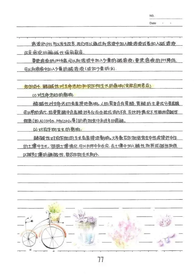 中考状元笔记,酸碱盐(部分)重点都给你写出来了! 第7张