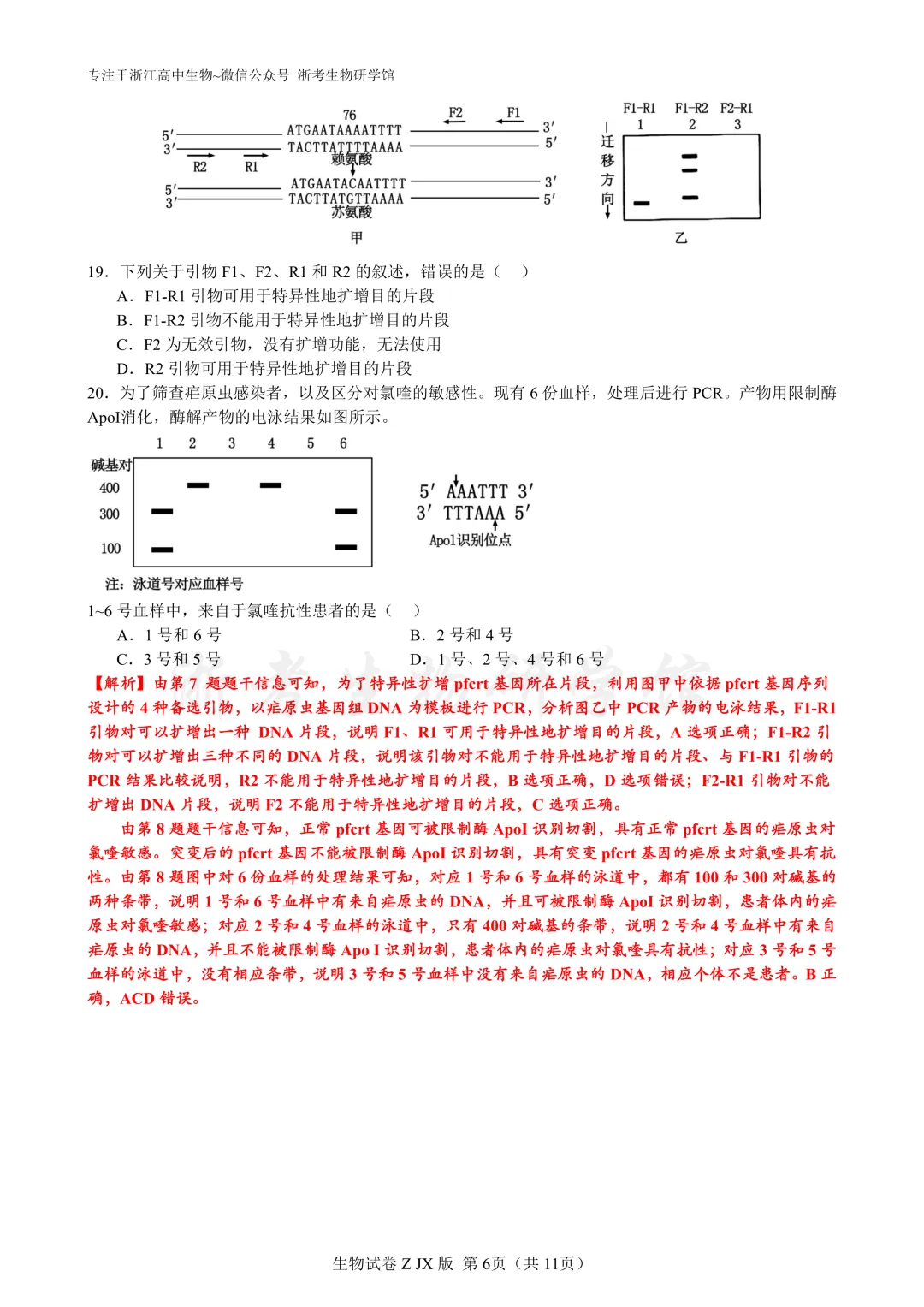 再刷真题|2024年浙江省6月选考试题及解析(官方解析) 第8张