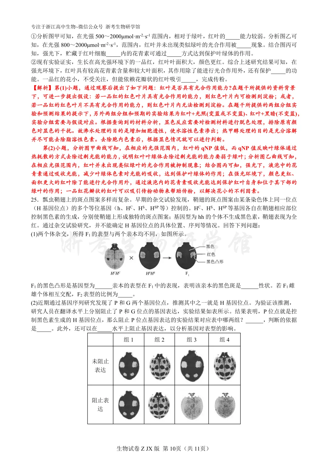 再刷真题|2024年浙江省6月选考试题及解析(官方解析) 第12张