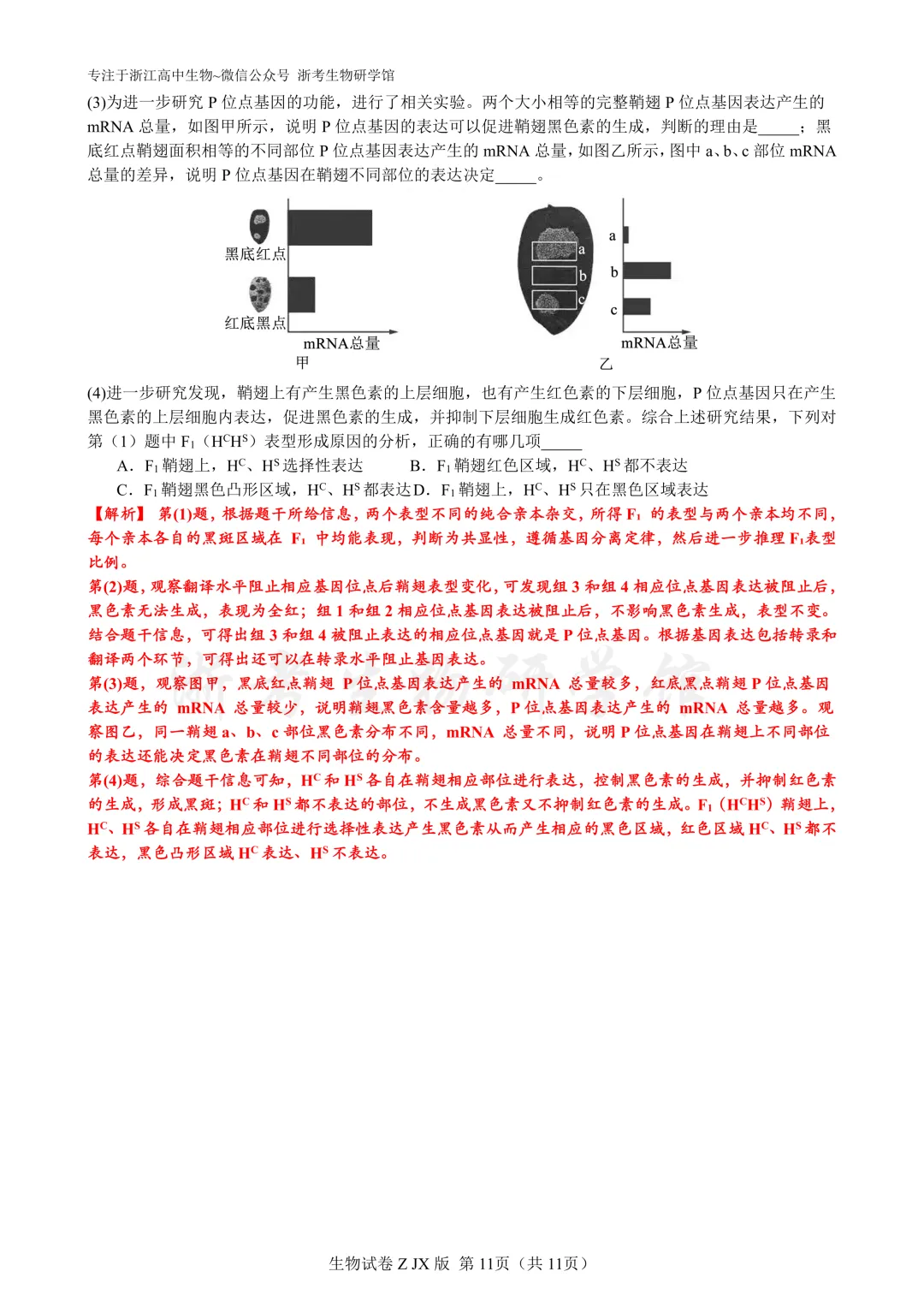 再刷真题|2024年浙江省6月选考试题及解析(官方解析) 第13张