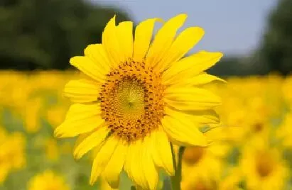 中考倒计时54天,我没忍住吼了女儿,却后悔了一整夜 第1张