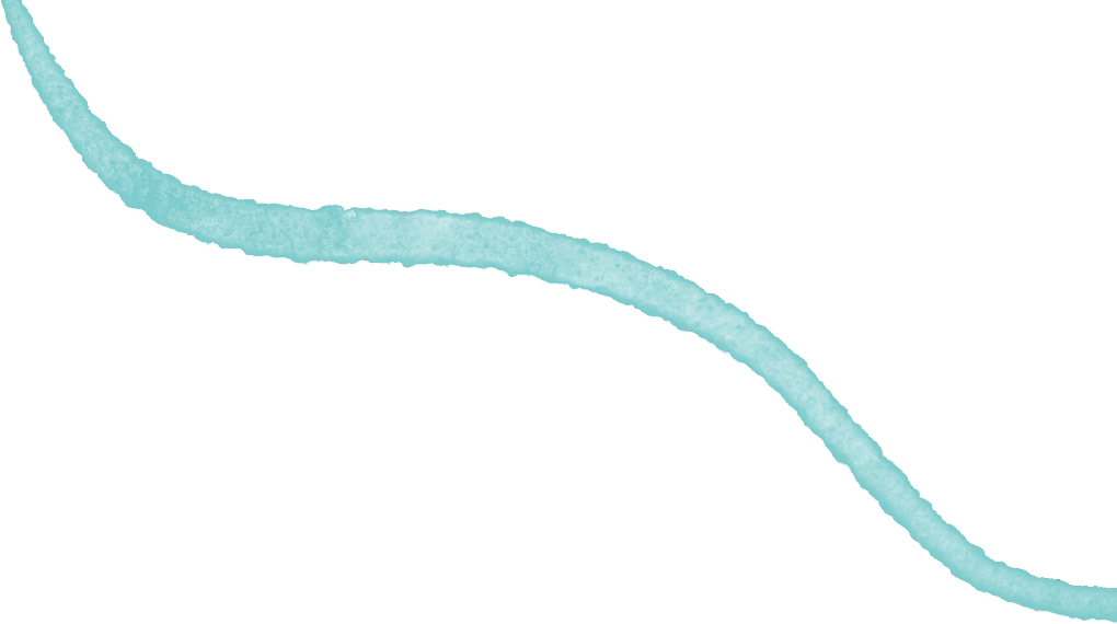 北京2026年中考中招系列直播——北京商贸学校直播时间预告 第4张