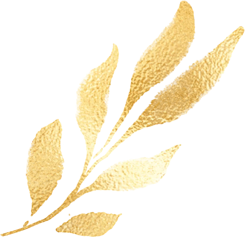 北京2026年中考中招系列直播——北京商贸学校直播时间预告 第6张