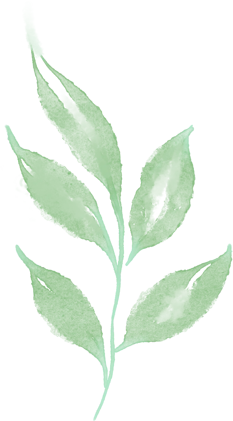 北京2026年中考中招系列直播——北京商贸学校直播时间预告 第7张