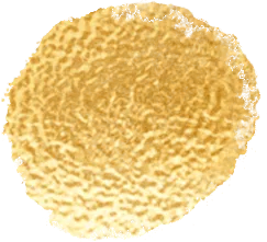 北京2026年中考中招系列直播——北京商贸学校直播时间预告 第8张