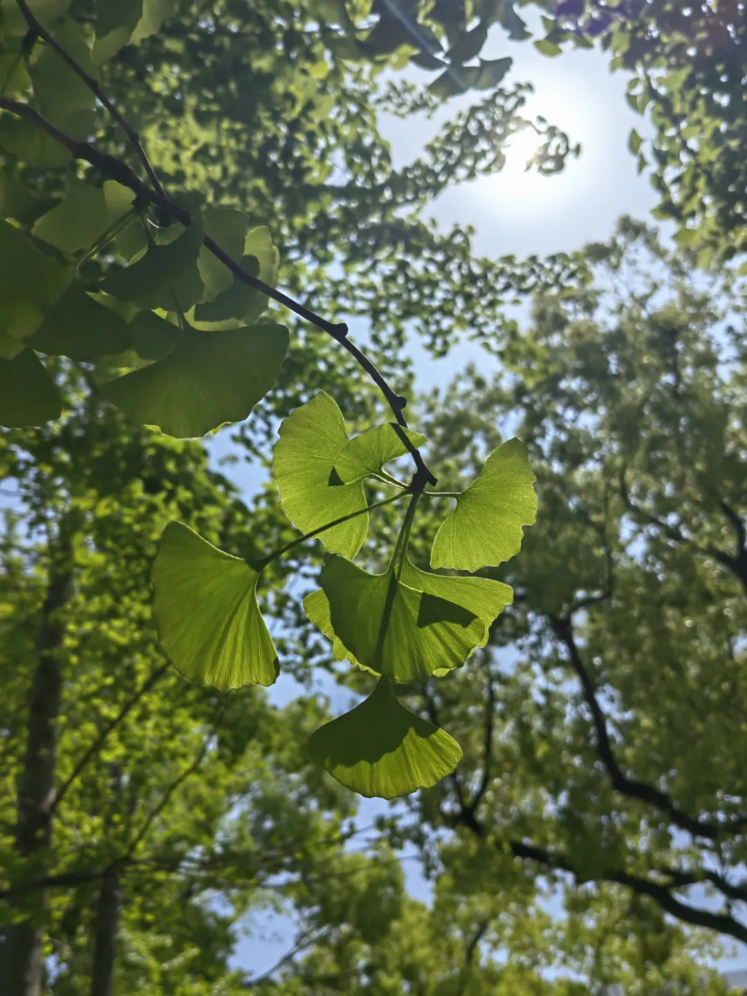 人生是一场没有“模拟”的考试 第10张