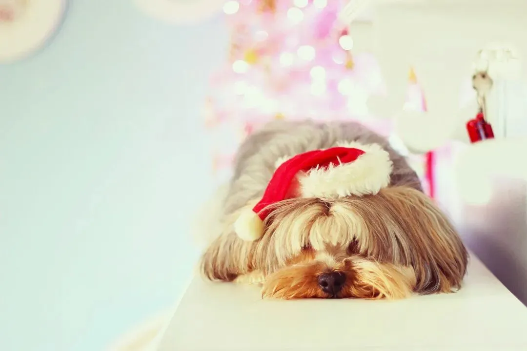 完篇∴全免:《押送高考试卷那天,家长堵了我的车不让我进校门》林楠赵丽华【小説·全章】TXT閲读 第15张