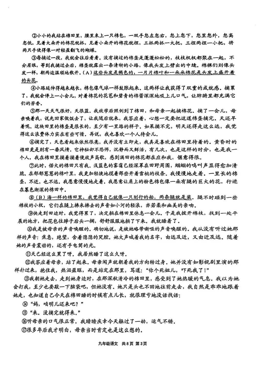 中考 | 2026届最新初三二模试卷分享(徐汇/虹口/杨浦/黄埔/静安/宝山/闵行/松江/崇明区部分试卷) 第266张