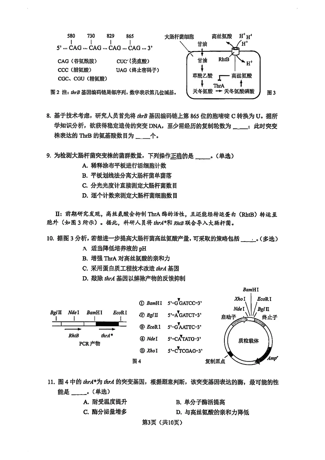 2026届杨浦区高三二模生物试卷 第3张