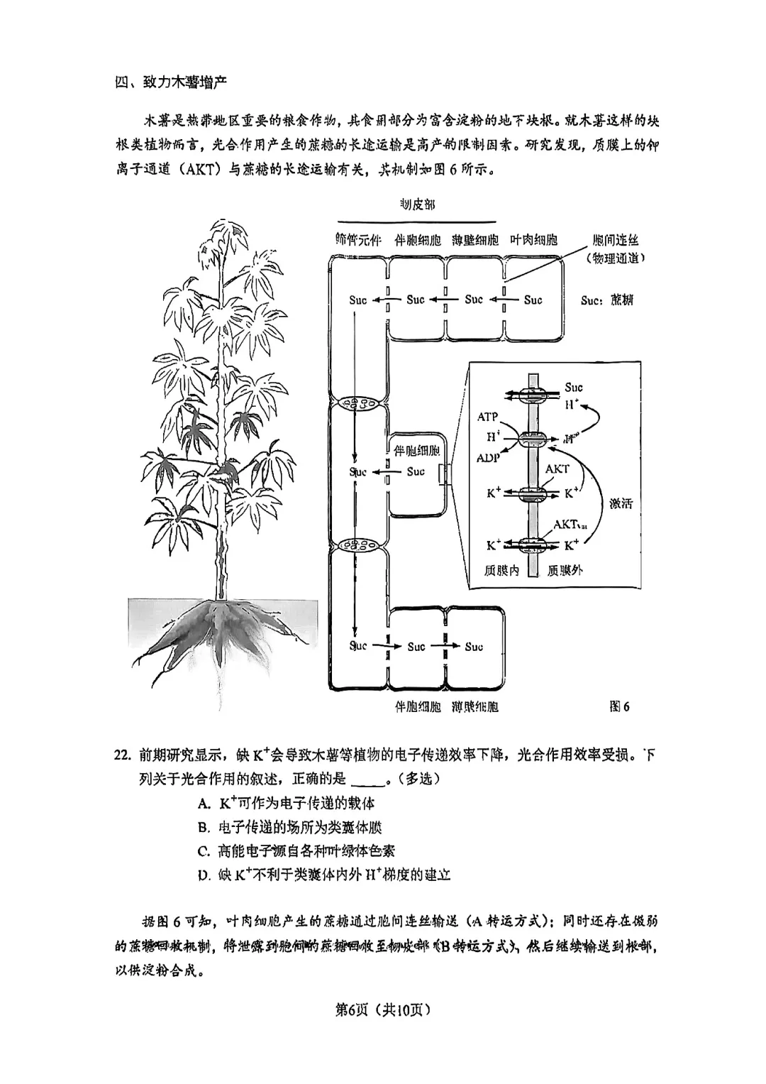 2026届杨浦区高三二模生物试卷 第6张