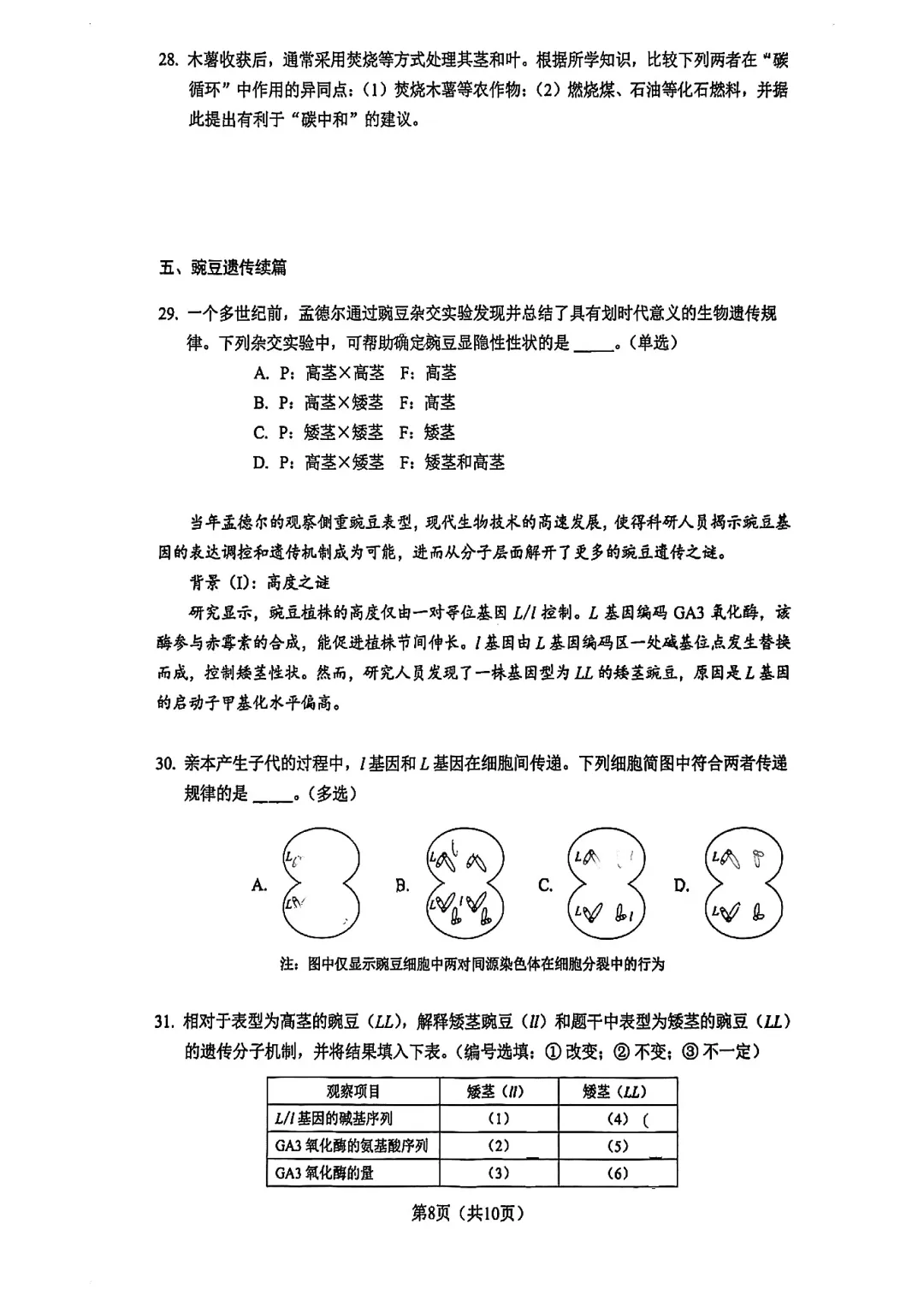 2026届杨浦区高三二模生物试卷 第8张