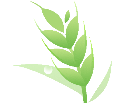 2026届深圳高三二模语文试卷讲评课件 第74张