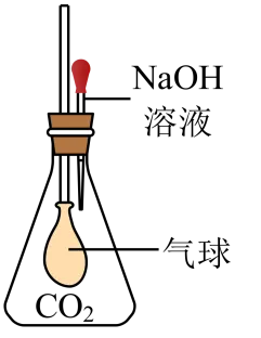 初中化学 中考复习专题 科学探究 第11张