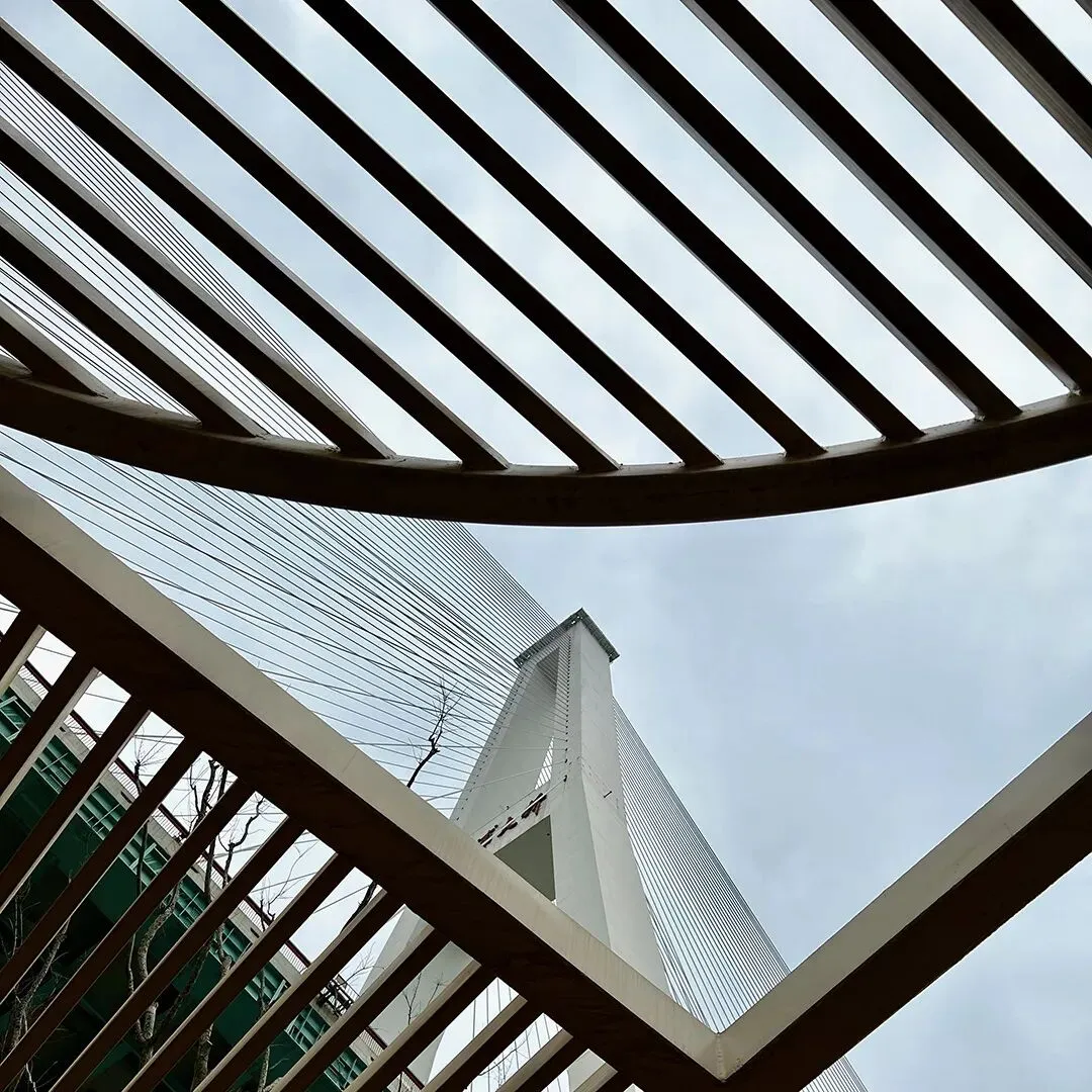 2015-2025|深圳近十年中考作文 真题汇总 第29张