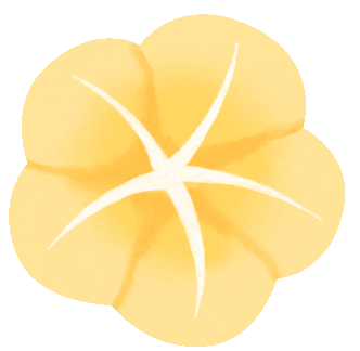 聚焦质量明方向,精准施策备中考——昆明市第六届初中数学刘文武名师工作室第二十一期简讯 第4张