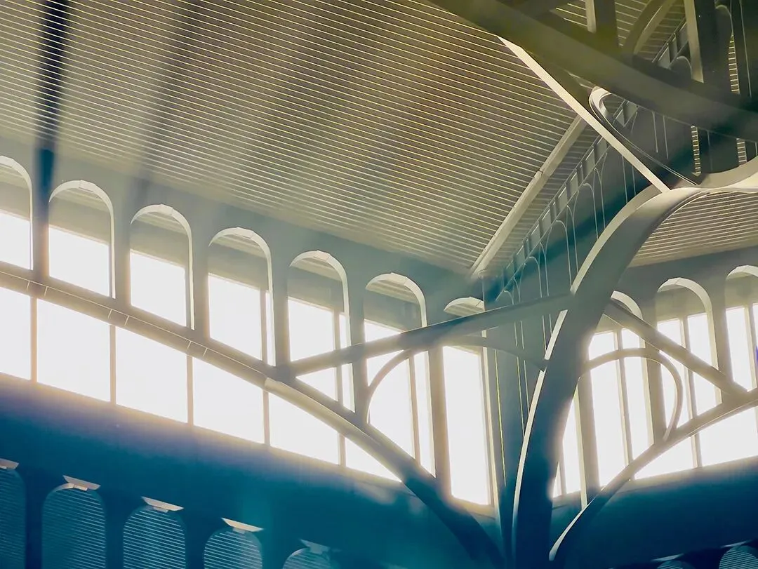 2015-2025|深圳近十年中考作文 真题汇总 第36张