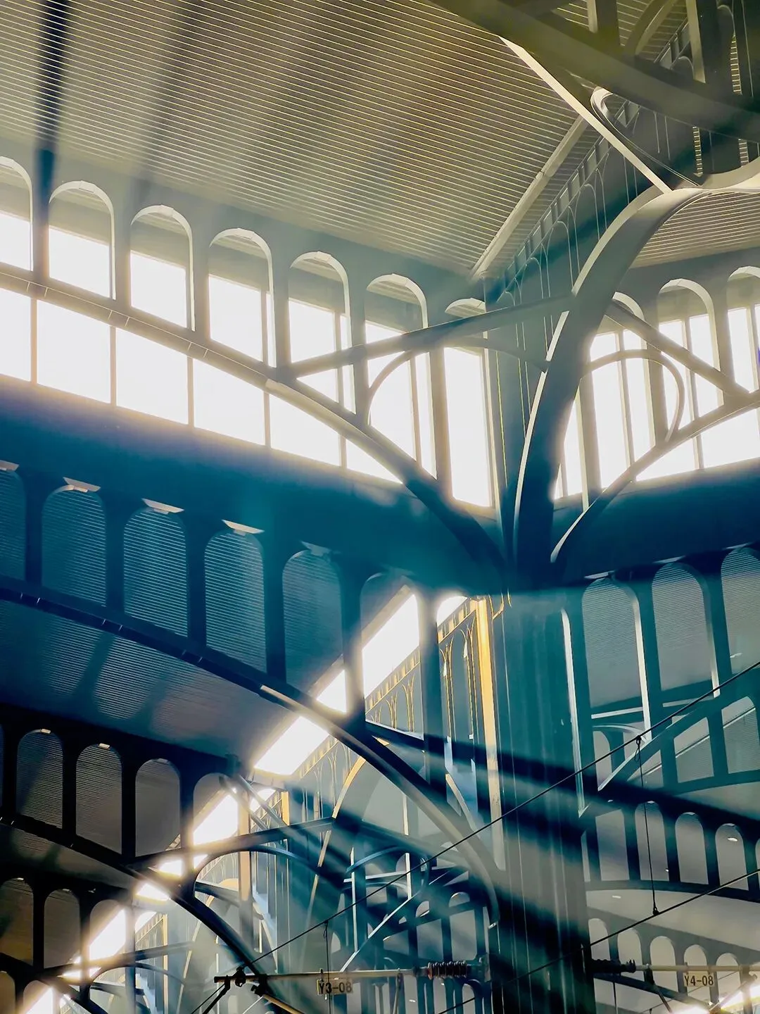 2015-2025|深圳近十年中考作文 真题汇总 第37张