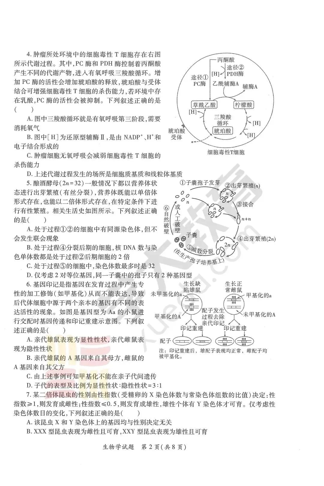 【真题】2026届陕西省三模真题+答案解析+英语听力+答题卡 第12张