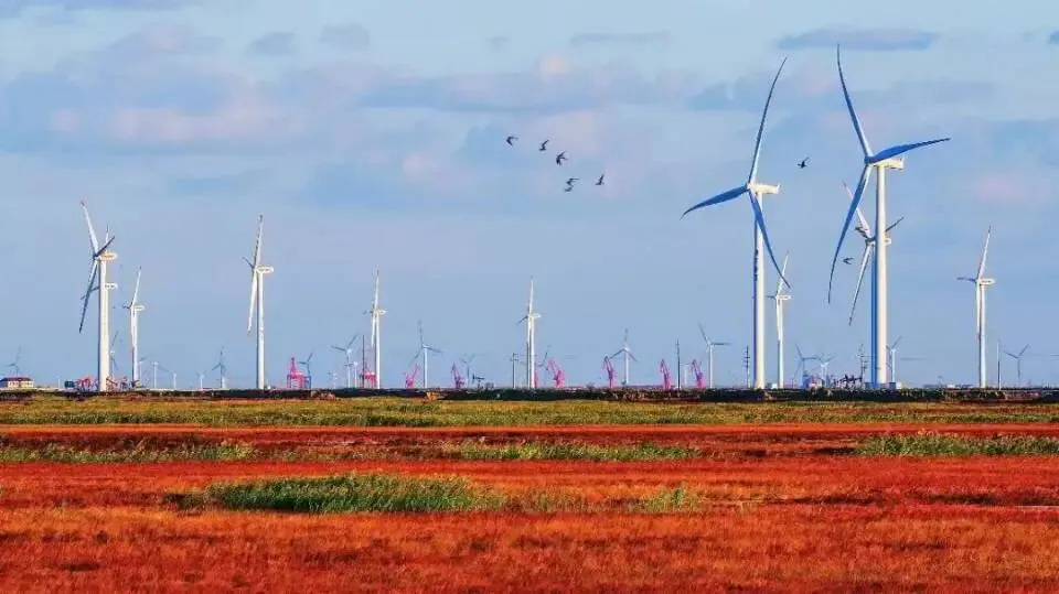 26真题:《人民日报》曾发表一篇标题为《正确地做“正确的事”》的文章.你认为基层当如何“正确地做'正确的事'”? 第1张