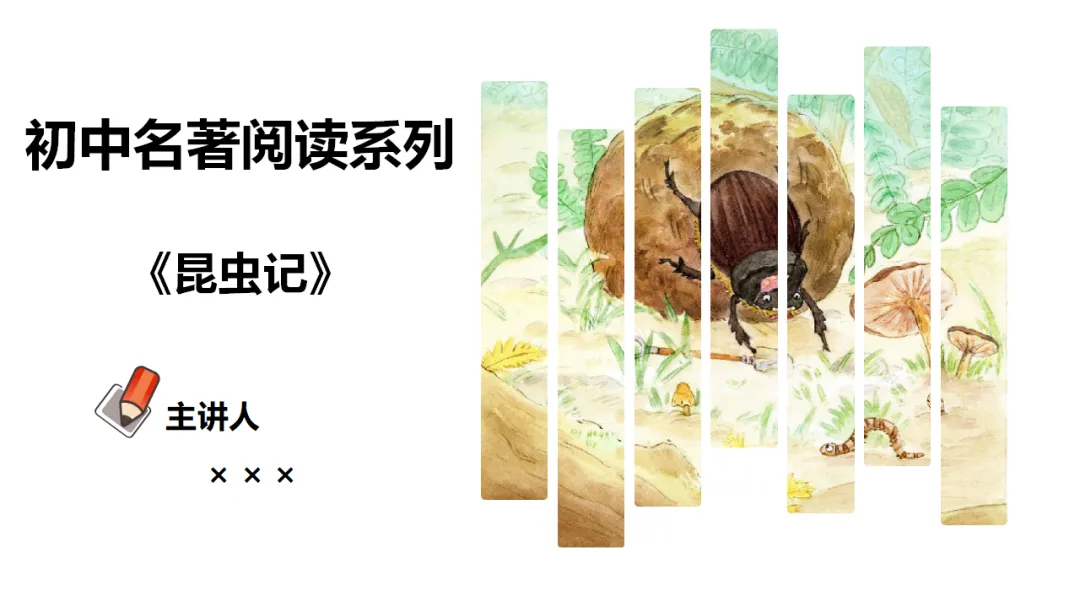 新课标中考必读名著《昆虫记》复习:名著概览+考法+精炼 第3张