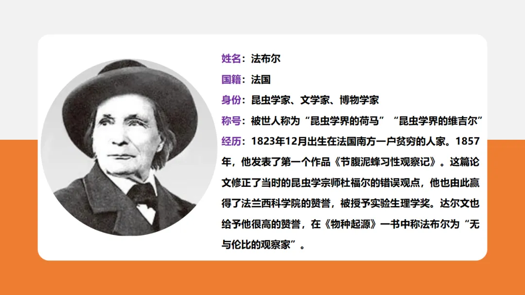 新课标中考必读名著《昆虫记》复习:名著概览+考法+精炼 第6张