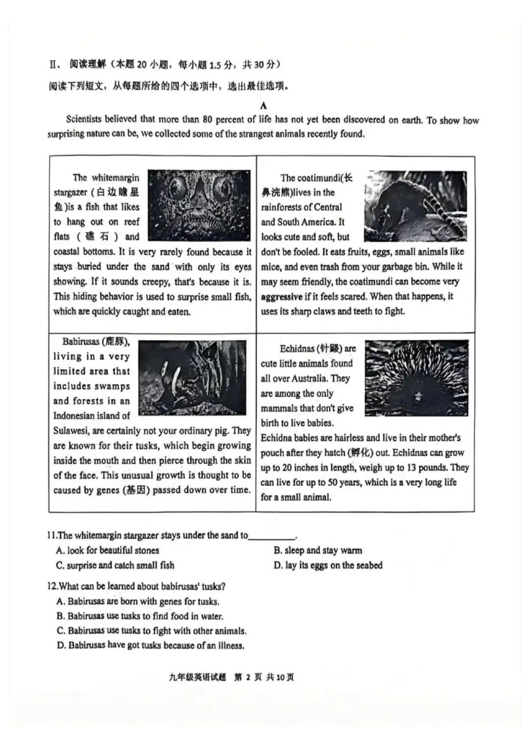 中考模拟题:2025-2026学年青岛市中考英语一模(含答案) 第3张