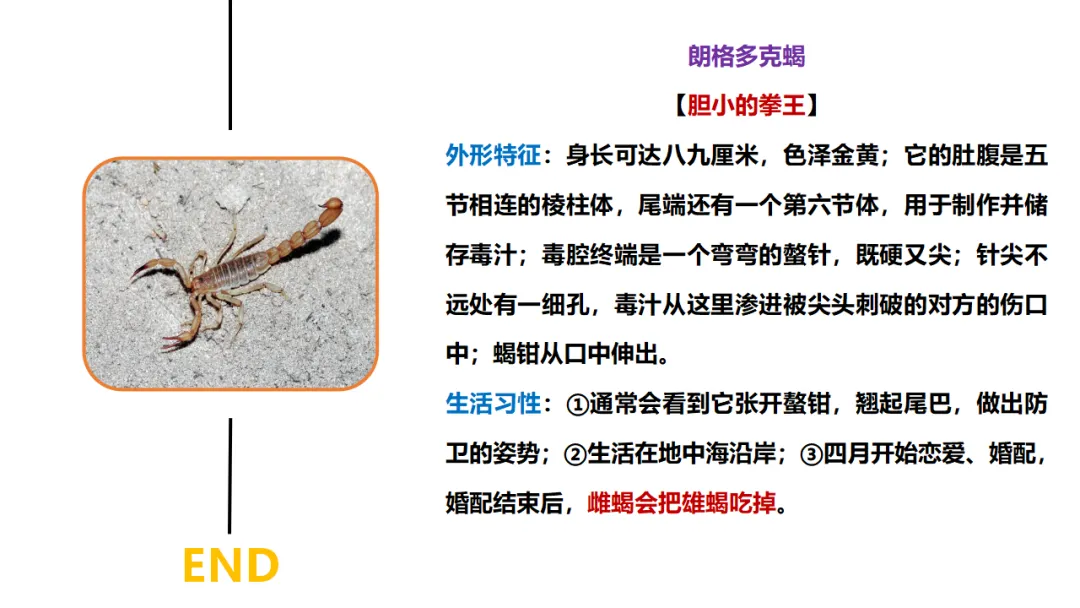 新课标中考必读名著《昆虫记》复习:名著概览+考法+精炼 第21张