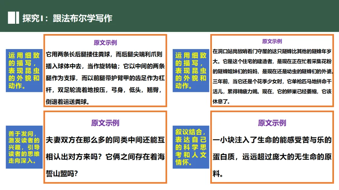 新课标中考必读名著《昆虫记》复习:名著概览+考法+精炼 第25张