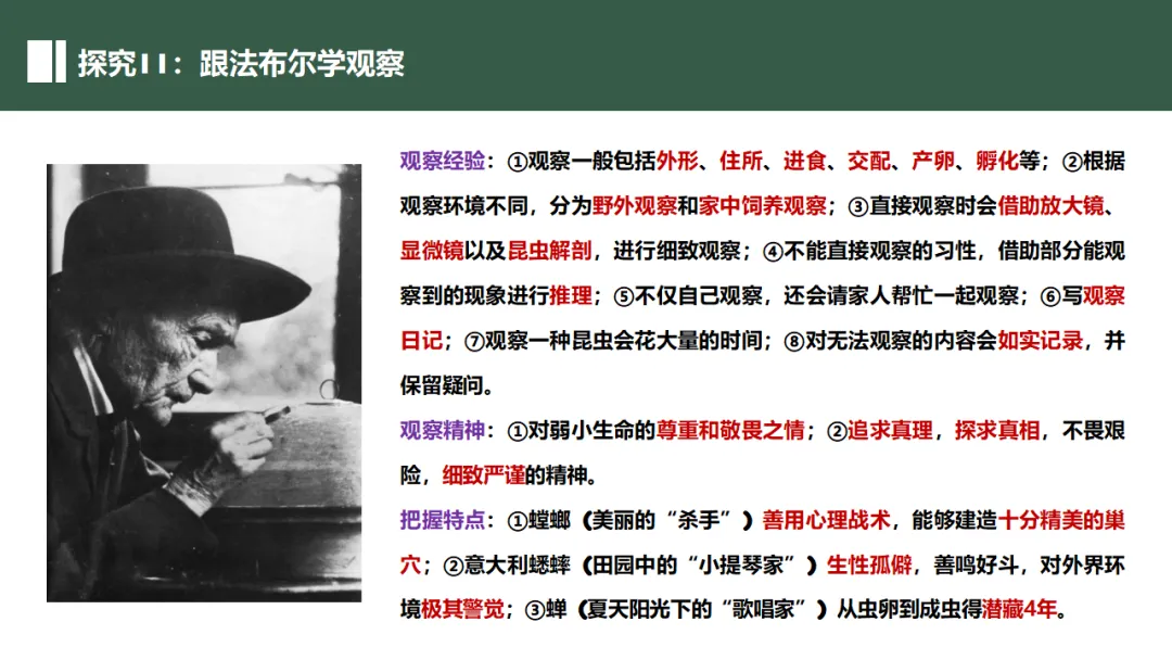 新课标中考必读名著《昆虫记》复习:名著概览+考法+精炼 第26张