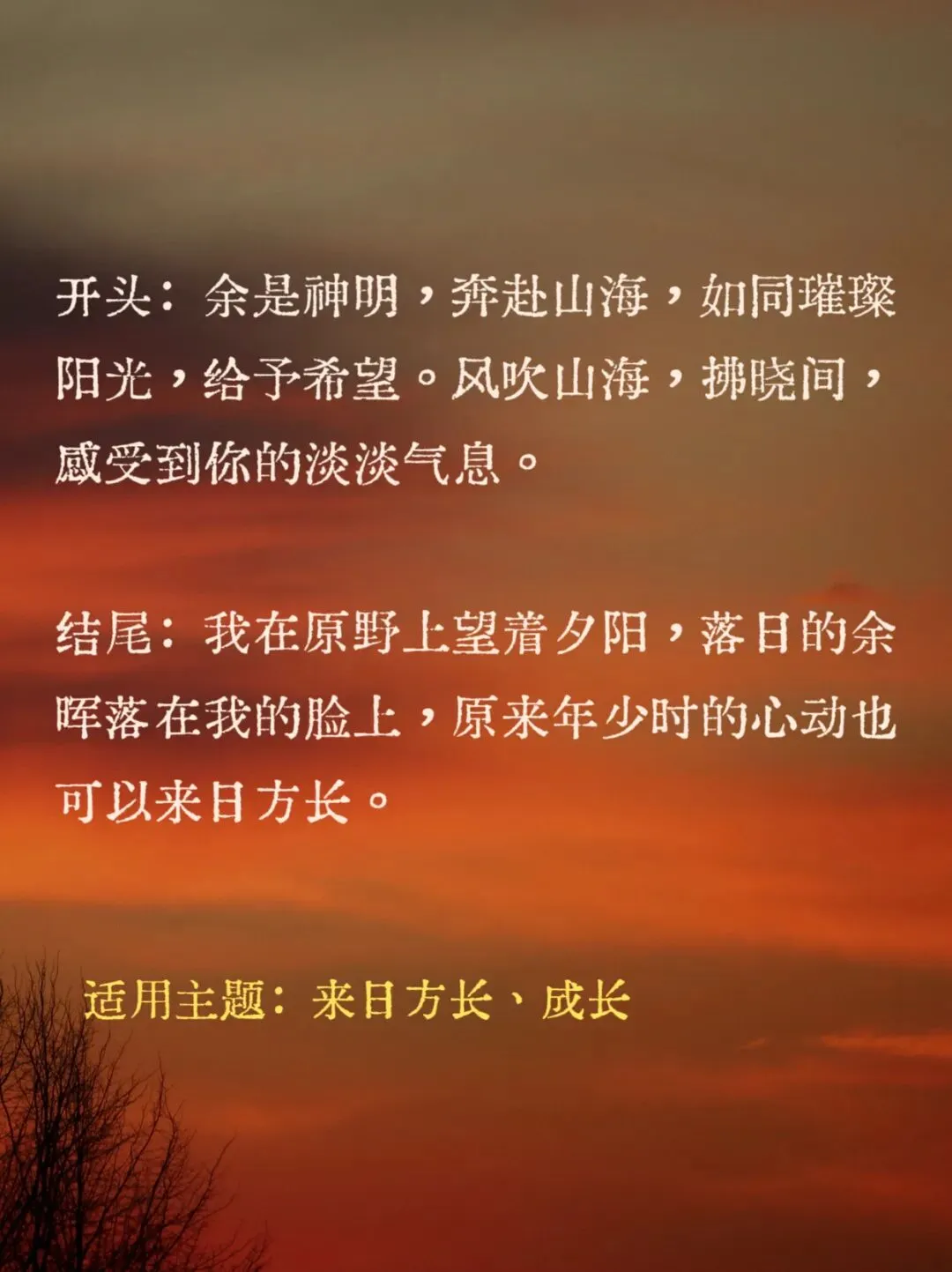 中考作文写作素材「开头+结尾」万能模板合集 第10张