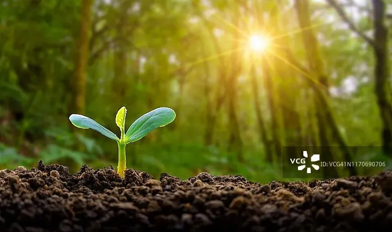 【联考】2026深圳中考一模作文真题拆解 第17张