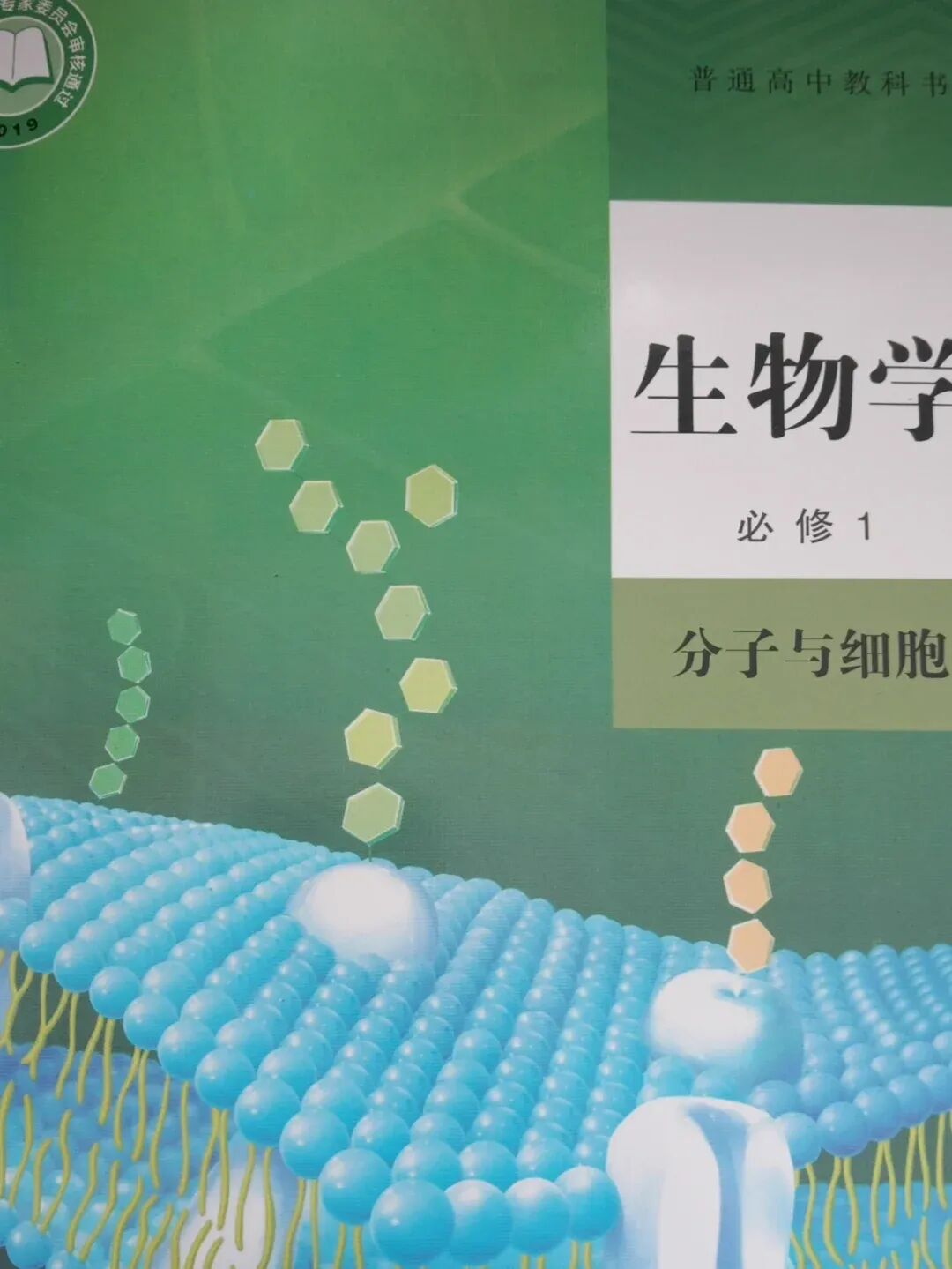 2026年山东省普通高中学业水平等级考试模拟试题生物学(二)非选择题(21-25题)详细解析 第1张