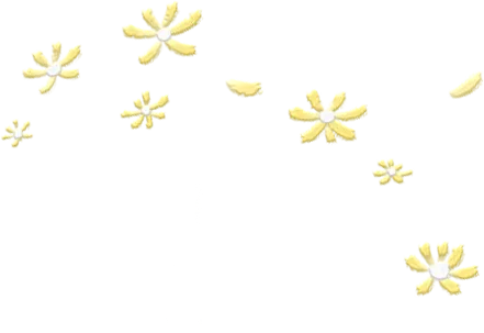 2026《新观察中考物理专题复习》|专题突破、真题精练,中考物理提分必备 第2张