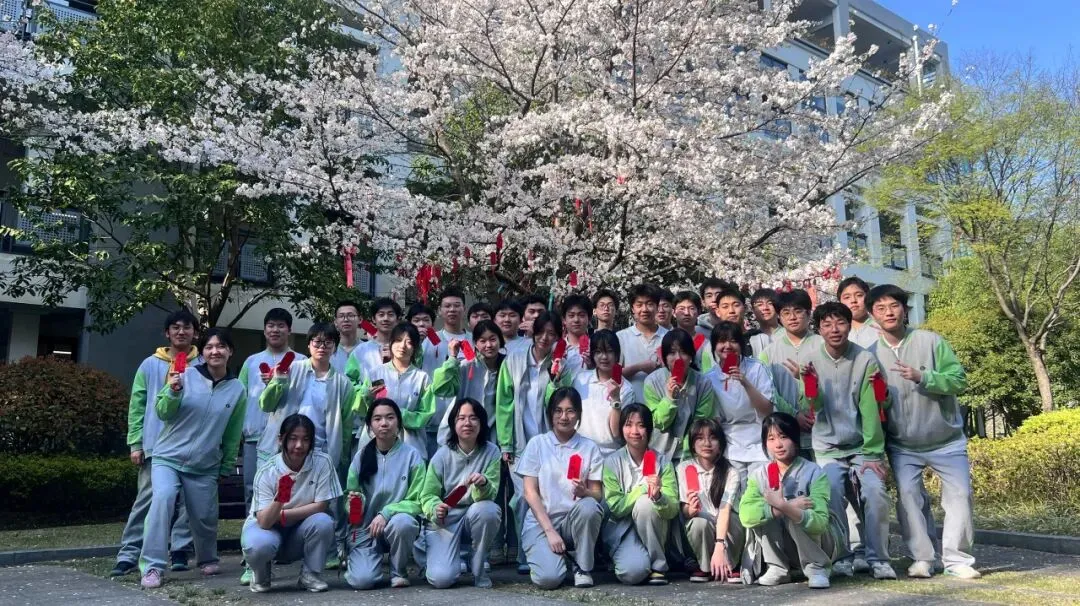 中考志愿选什么专业?数媒!因为数媒夯爆了 第15张