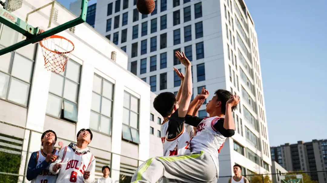 中考志愿选什么专业?数媒!因为数媒夯爆了 第16张