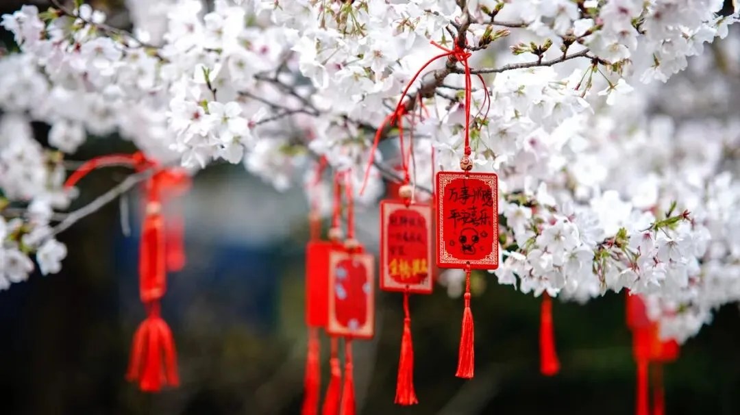 中考志愿选什么专业?数媒!因为数媒夯爆了 第17张