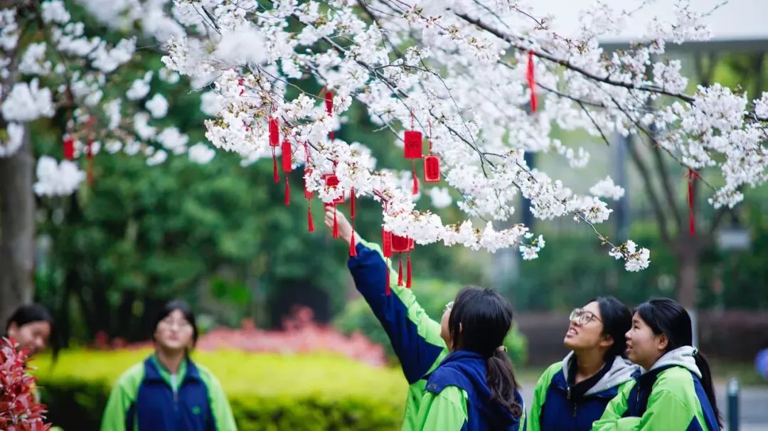 中考志愿选什么专业?数媒!因为数媒夯爆了 第18张
