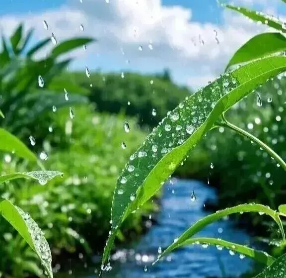 2026江西中考作文风向题十三:《慢,也是一种力量》 第2张