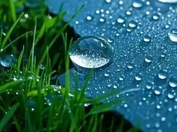 2026江西中考作文风向题十三:《慢,也是一种力量》 第3张