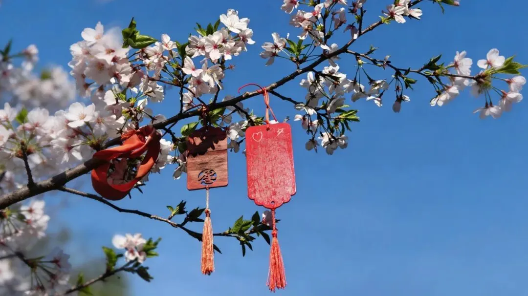 中考志愿选什么专业?数媒!因为数媒夯爆了 第21张