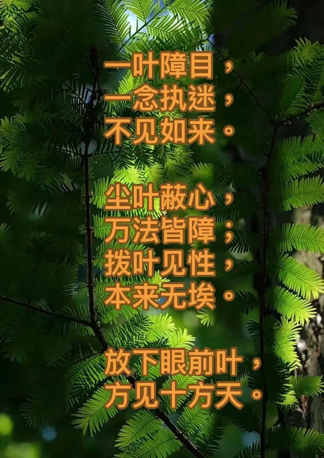 天津电子版试卷后续:荒唐!荒唐!如此处罚,依据何在? 第1张