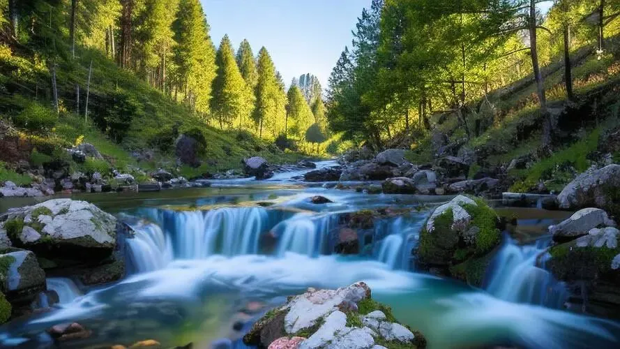 【中考优秀作文】把徐霞客精神发扬光大 第2张