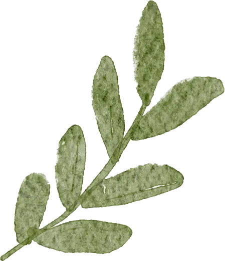 永州市2026年中考物理复习备考及命题培训活动在双牌一中圆满落幕 第3张