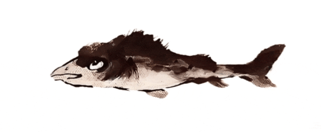 中考满分作文|成长感悟《考试?》 第2张